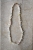 DSC_2401.jpg