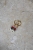 DSC_2436.jpg