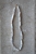 DSC_2821.jpg