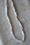 DSC_2824.jpg