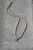 DSC_3091.jpg