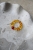 DSC_7756.jpg