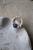 DSC_7772.jpg
